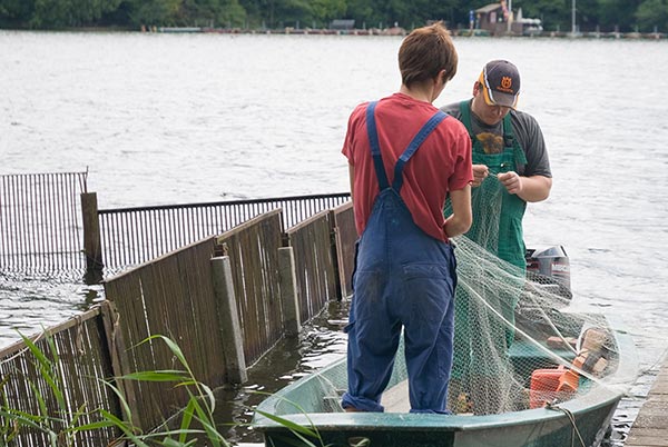 De bon poissons... à manger