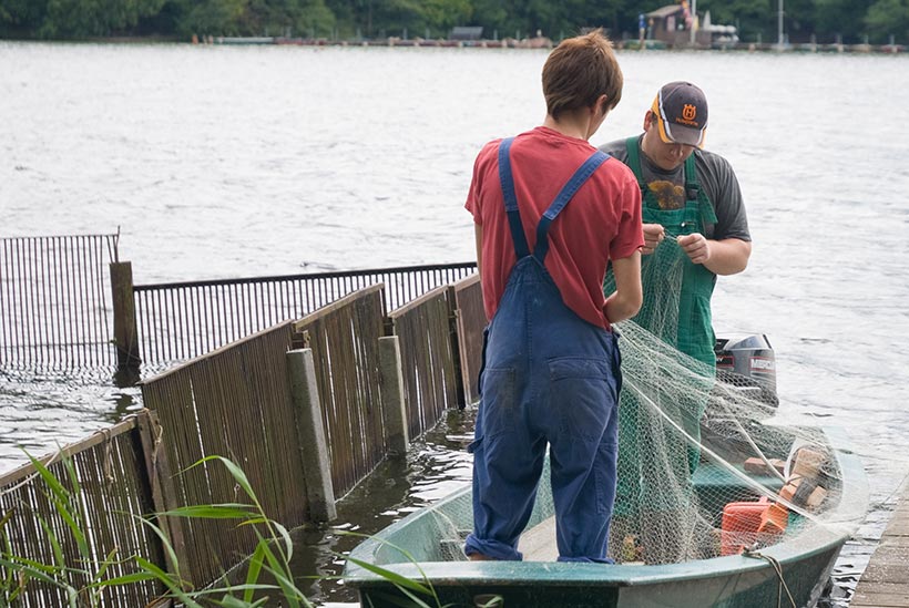 De bon poissons... à manger