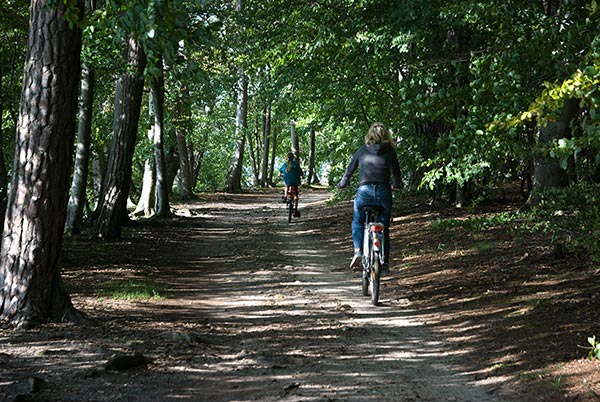 De très belles balades en perspective