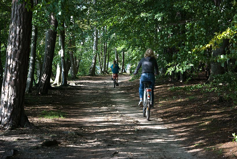 De très belles balades en perspective