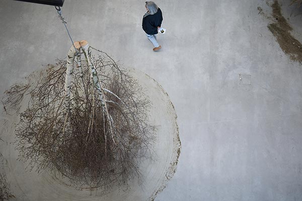 Forst, l'installation de Michael Sailstorfer