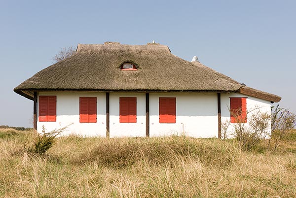 Ferme au toit de chaume