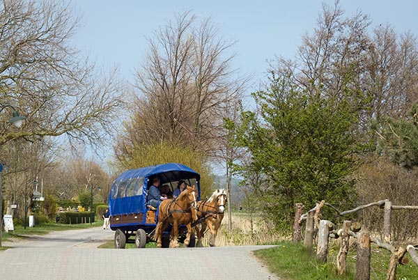 Coche à Vitte