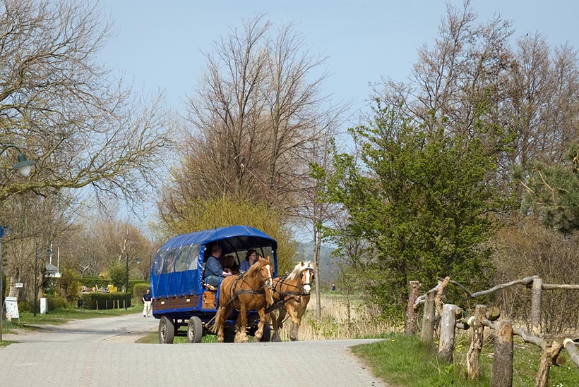 Coche à Vitte