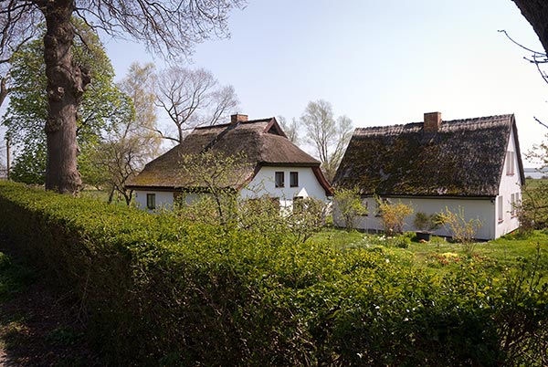 Toit de chaumes et murs à la chaux