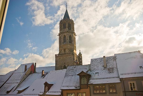 Rotweill sous la neige