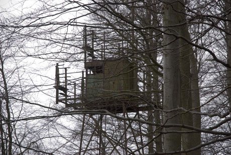 Mirador STASI